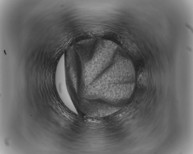 X0000097780772200803281701