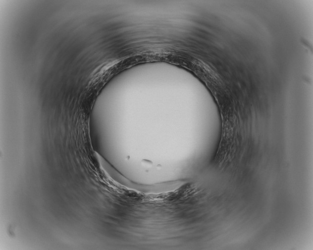 X0000097780773200803281701