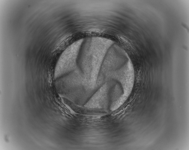 X0000097780774200803281701