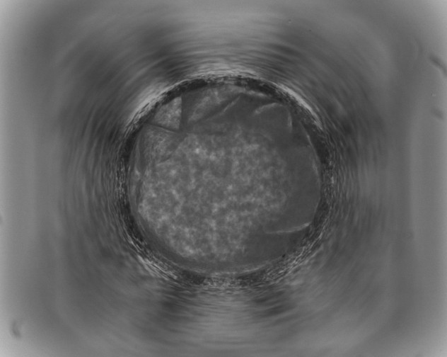 X0000097780775200803281701