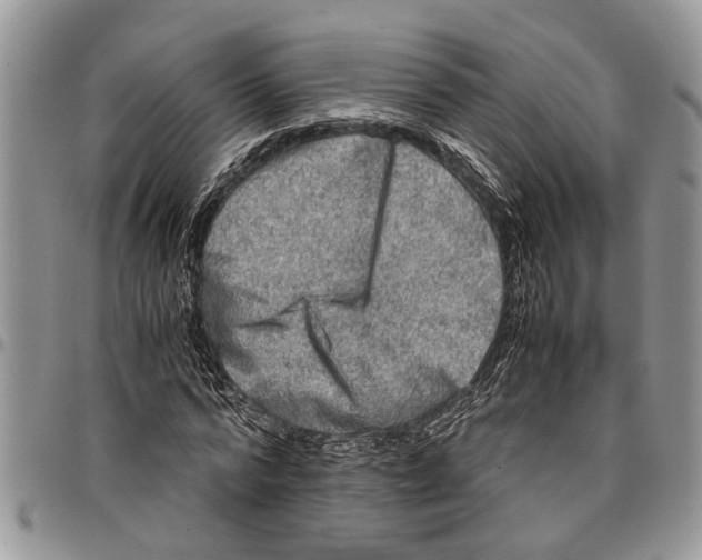 X0000097780776200803281701