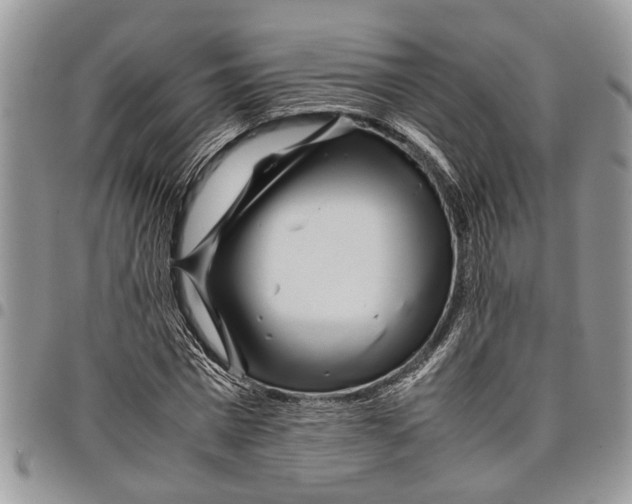 X0000097780777200803281701