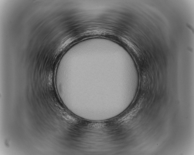 X0000097780778200803281701