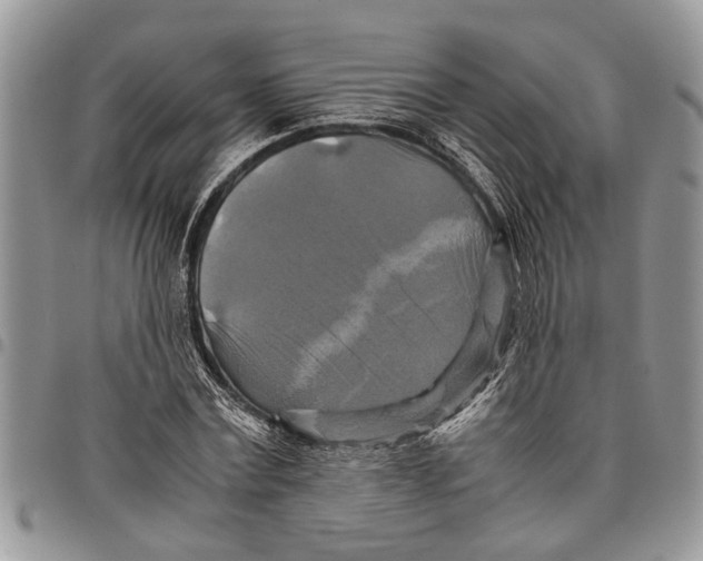 X0000097780779200803281701