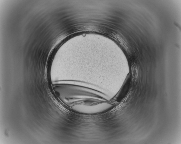 X0000097780780200803281701