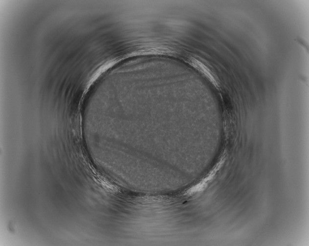 X0000097780781200803281701