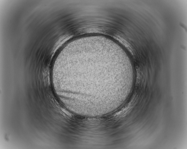 X0000097780782200803281701