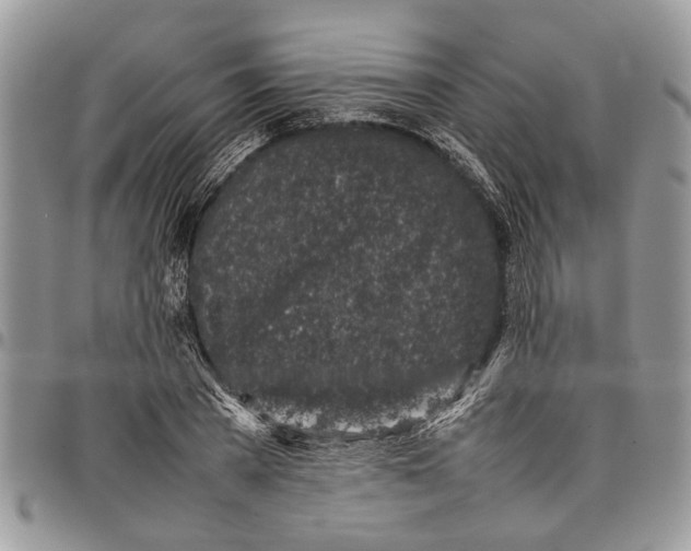 X0000097780785200803281701