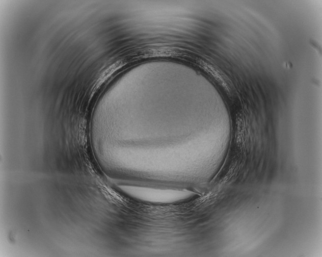 X0000097780786200803281700