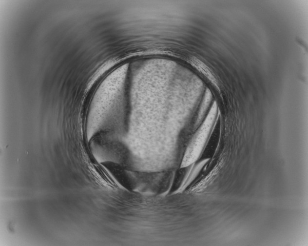 X0000097780789200803281700