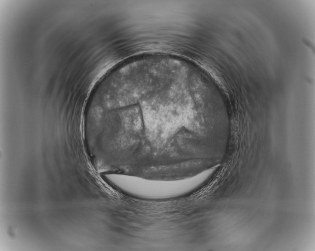 X0000097780791200803281700