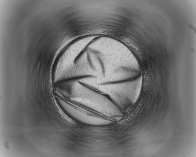 X0000097780792200803281700