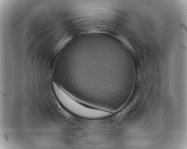 X0000097780793200803281700