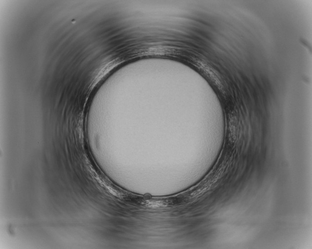 X0000097780794200803281700