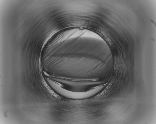 X0000097780796200803281700