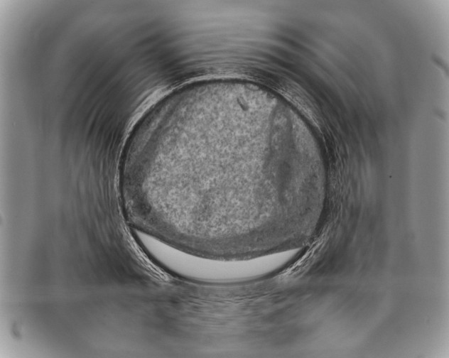 X0000097780797200803281700