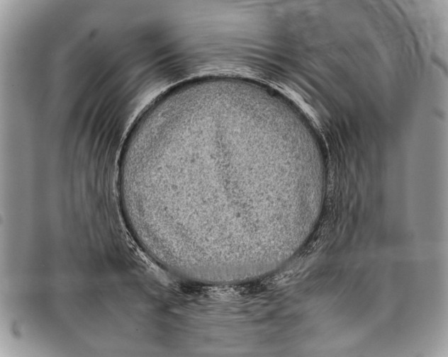 X0000097780799200803281700