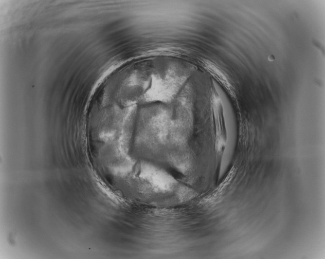 X0000097780800200803281700