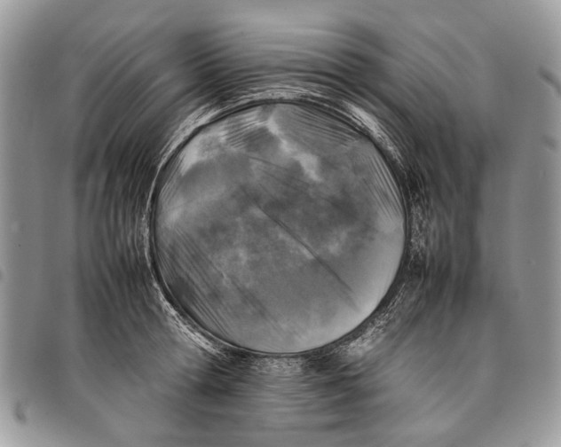 X0000097780802200803281700