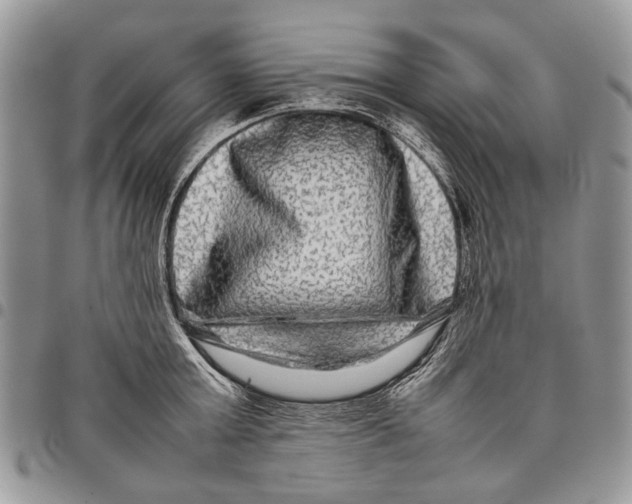 X0000097780803200803281700