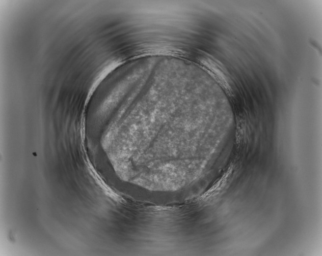 X0000097780804200803281700