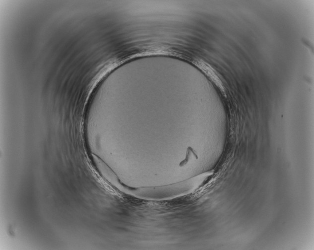 X0000097780805200803281700