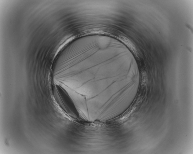 X0000097780806200803281700