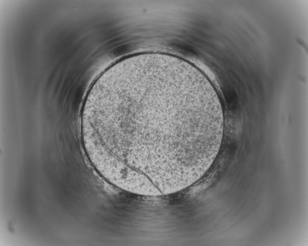 X0000097780807200803281700