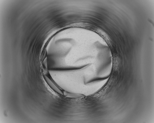 X0000097780808200803281700