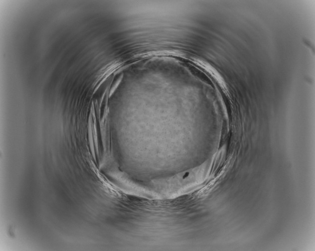 X0000097780809200803281700