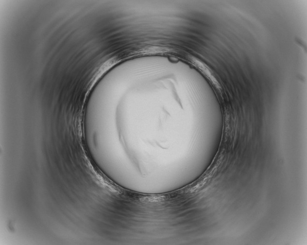 X0000097780810200803281700