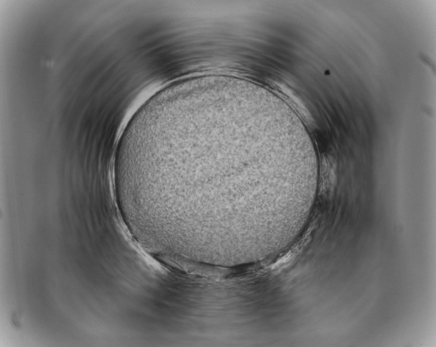 X0000097780812200803281700