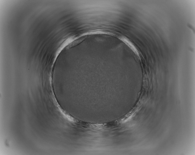 X0000097780813200803281700