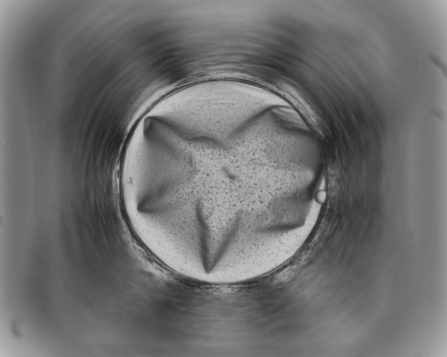 X0000097780814200803281700