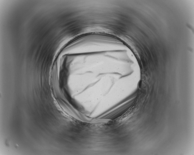 X0000097780815200803281700