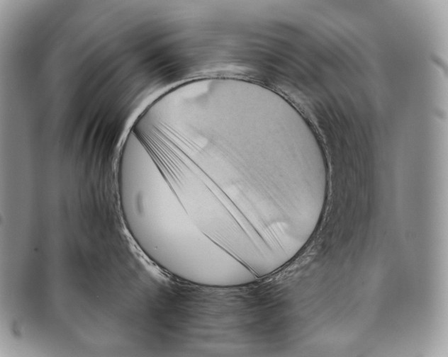 X0000097780816200803281700