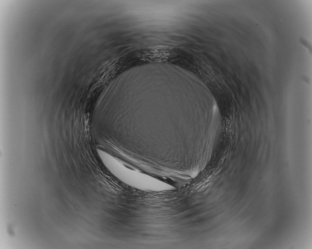 X0000097780818200803281659