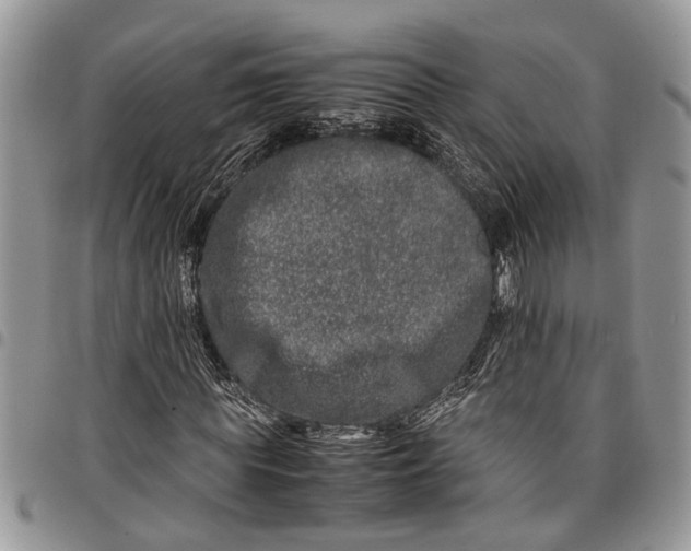 X0000097780819200803281659