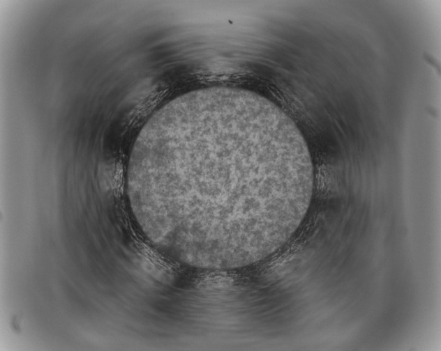 X0000097780820200803281659