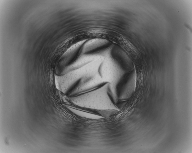 X0000097780821200803281659