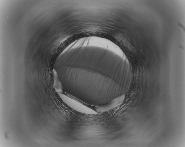 X0000097780822200803281659