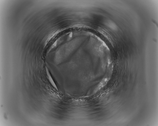 X0000097780823200803281659