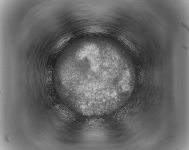 X0000097780824200803281659