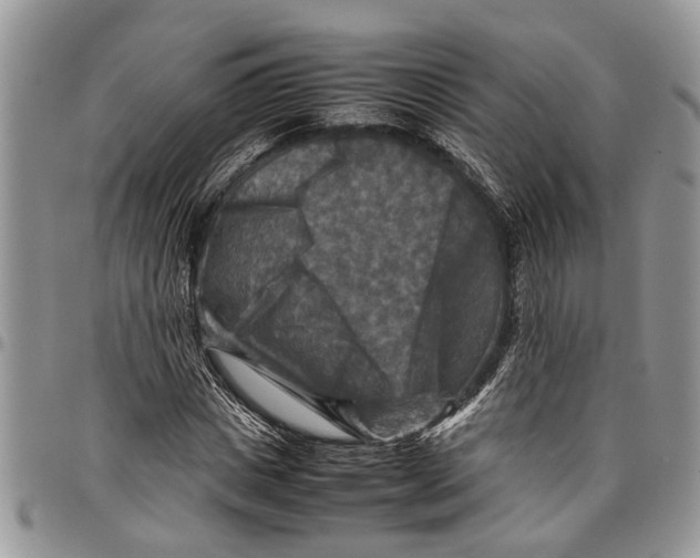 X0000097780825200803281700