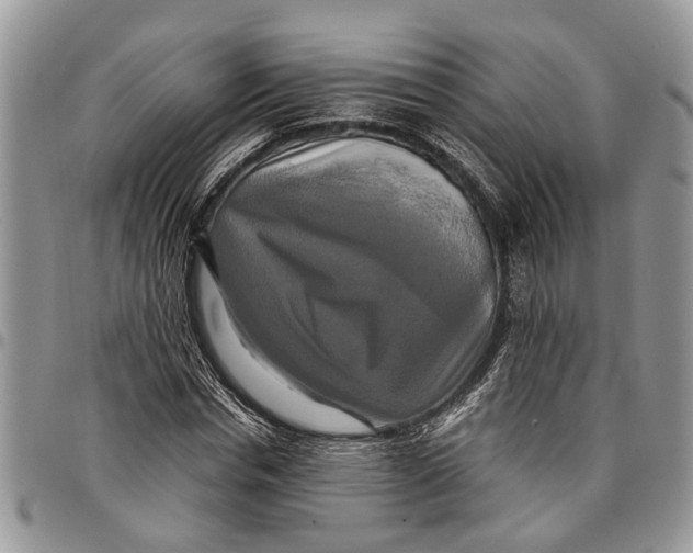 X0000097780826200803281700