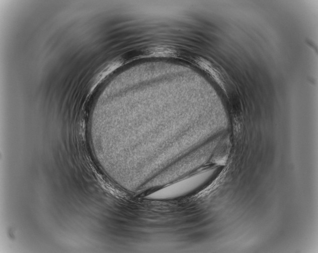 X0000097780827200803281700