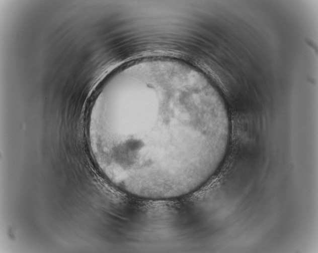 X0000097780828200803281700