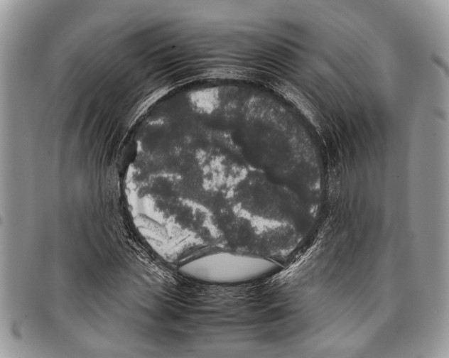 X0000097780829200803281700