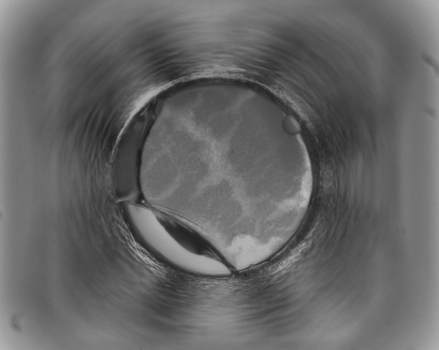 X0000097780830200803281700