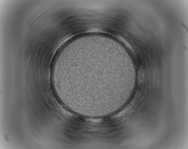 X0000097780831200803281700